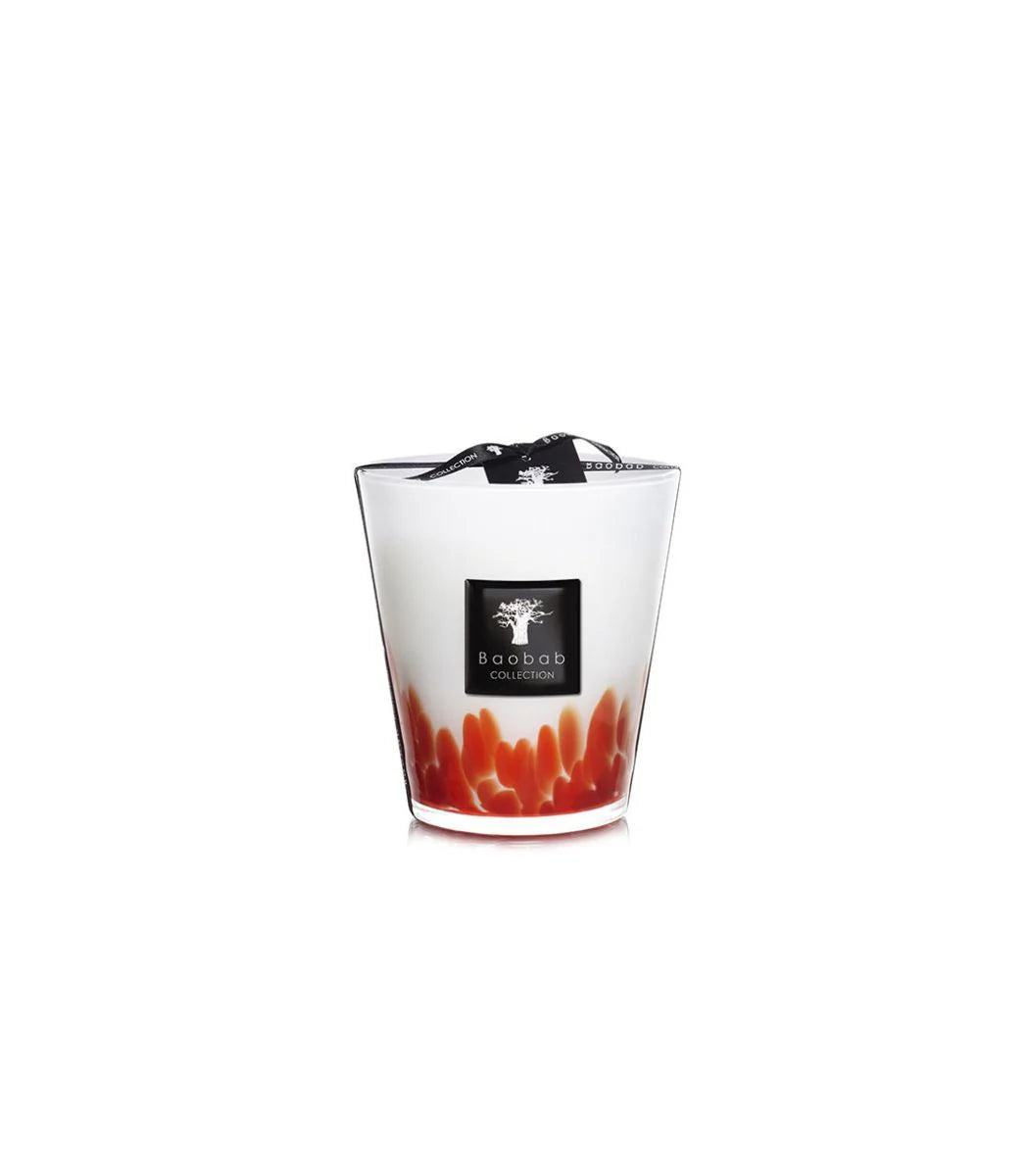 BAOBAB COLLECTION - Bougie Parfumée Feathers Maasai