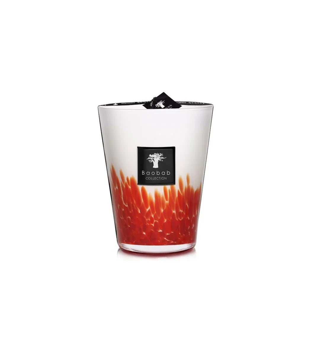 BAOBAB COLLECTION - Bougie Parfumée Feathers Maasai
