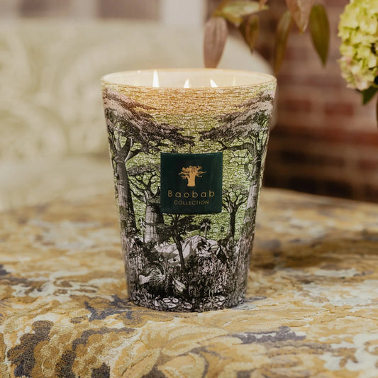 BAOBAB COLLECTION - Bougie Parfumée Sacred Trees Touba