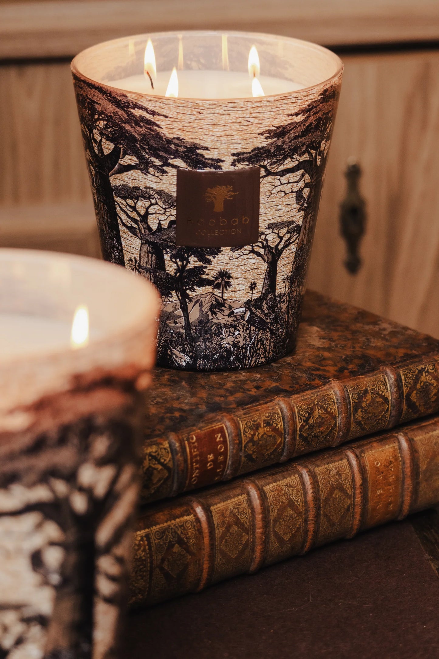 BAOBAB COLLECTION - Bougie Parfumée Sacred Trees Mankeno