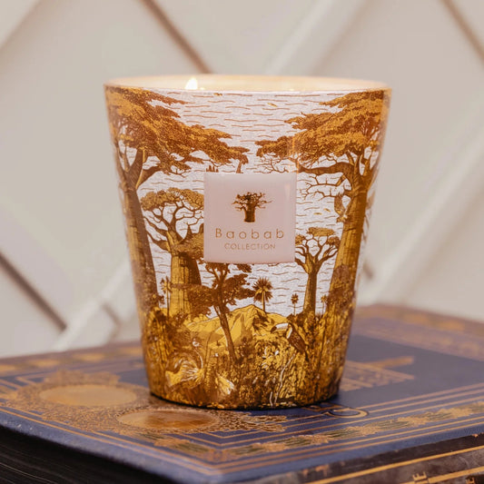 BAOBAB COLLECTION - Bougie Parfumée Sacred Trees Bounkani