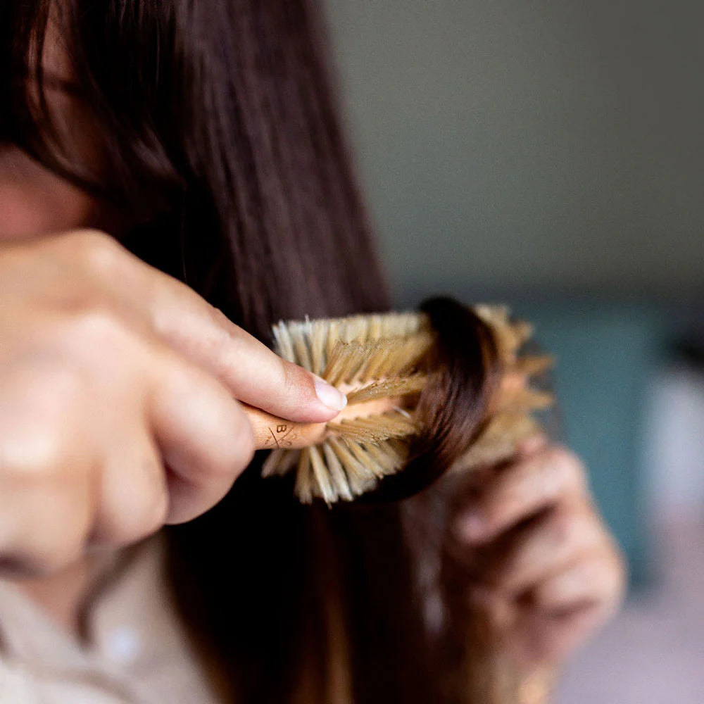 Brosse Brushing 100% Sanglier